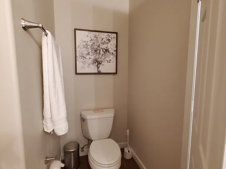 Upstairs bathroom toilet 4x5crop_03232026