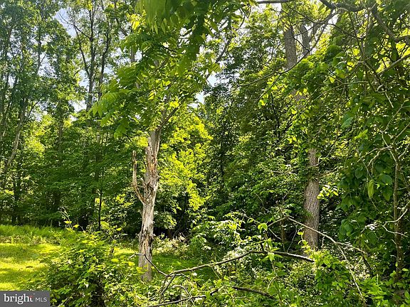 5th image of Miller Rd