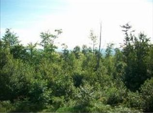 78 Walker Hill Rd #A, Ossipee, NH 03864