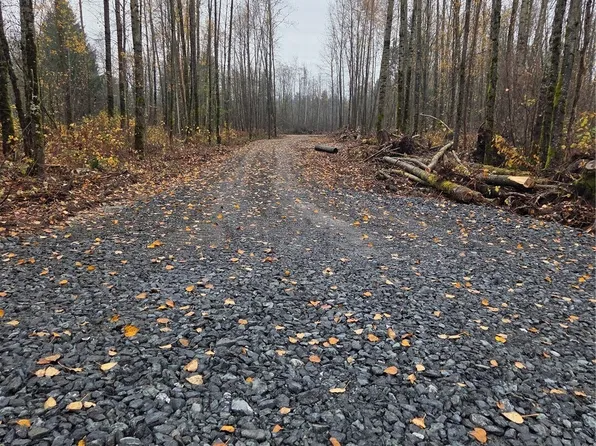 0 X H Street, Blaine, WA 98230