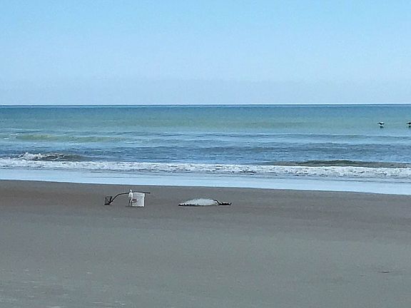 Daytona Beach 2 blocks