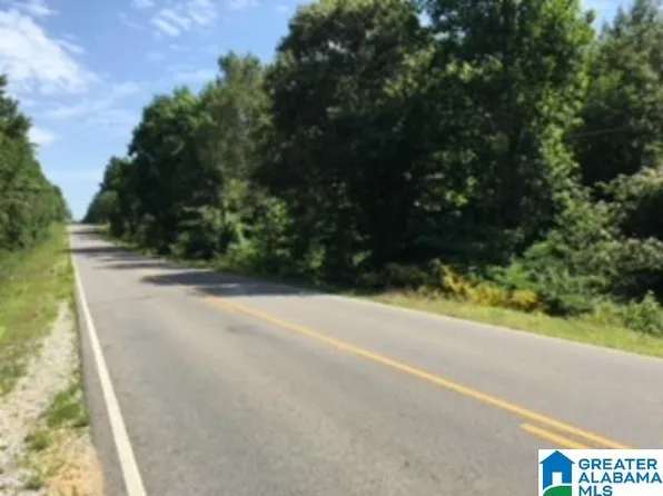 1850 Logan Martin Dam Rd #1, Vincent, AL 35178