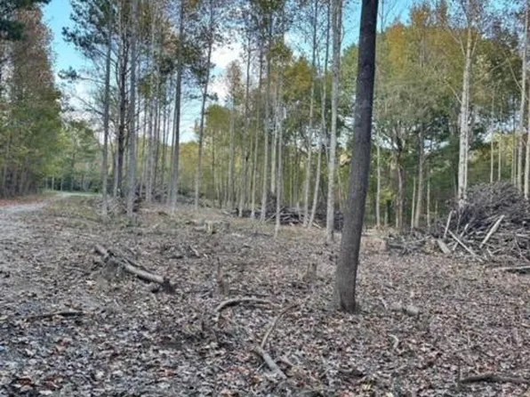 0 Magnolia Dr, Cadiz, KY 42211