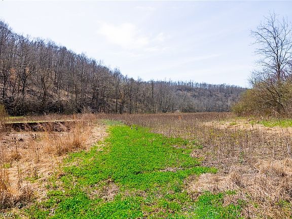 3rd image of E Branch Rd