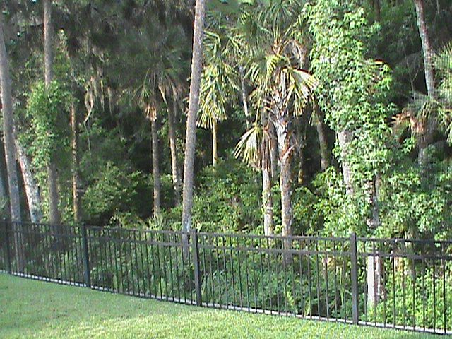 2nd image of 652 Fanning Dr