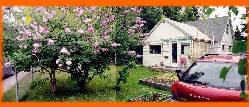 front yard, june '03.