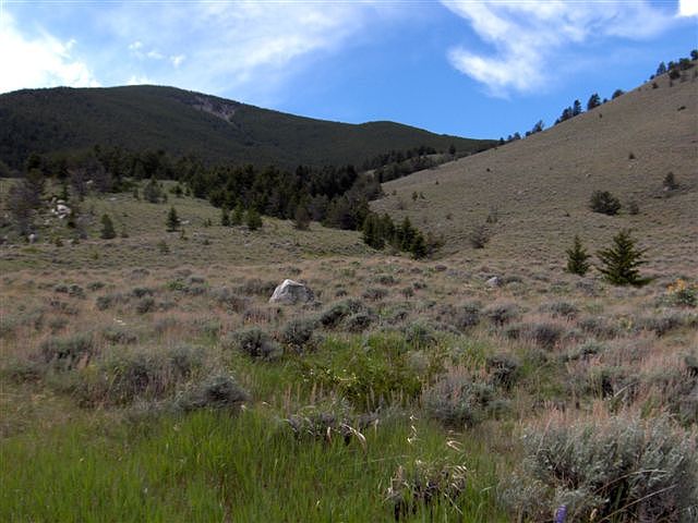 1st image of Tract 4 Us Highway 212