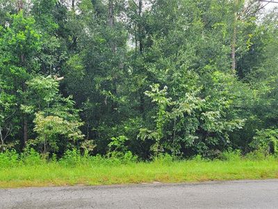 22 Centennial Rd #22, Dade City, FL, 33525