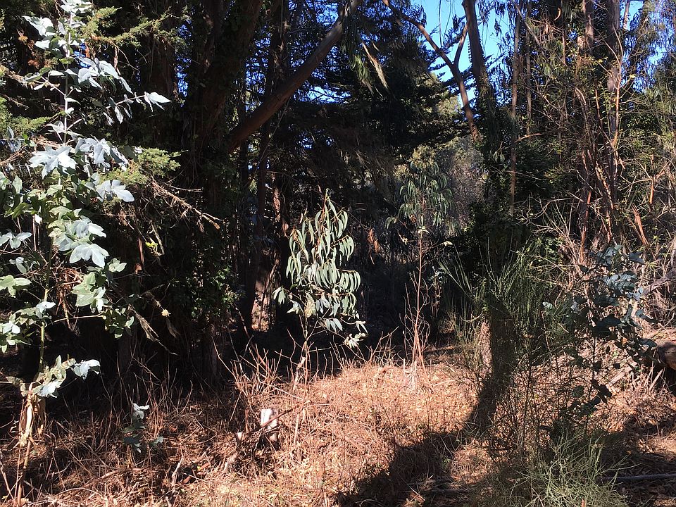 2nd image of 244 Alder Dr