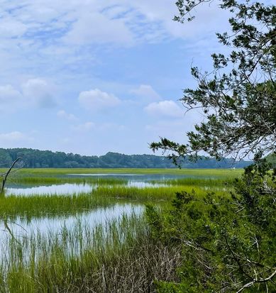 LOT D Toogoodoo Rd #2, Hollywood, SC 29449