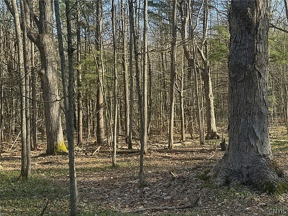 3rd image of 0 Lead Mine Rd