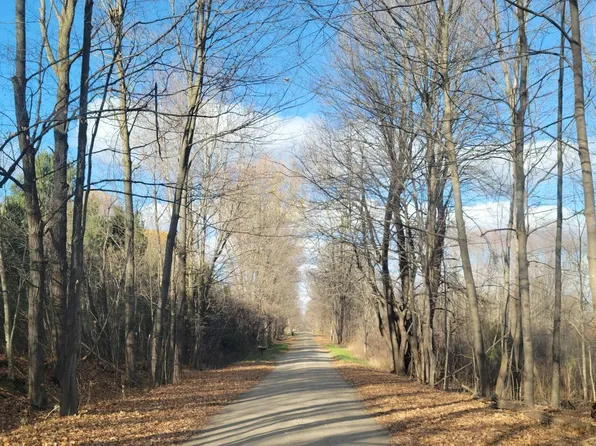 0 S Force Rd, Attica, MI 48412