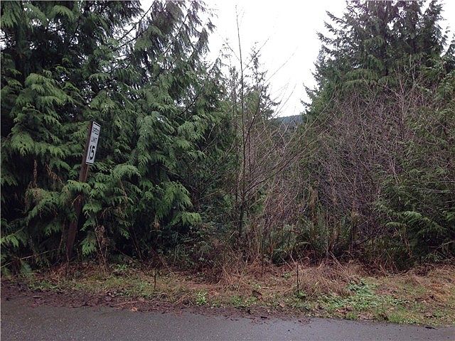 1st image of 1.36ACRE E Timber Tides Dr