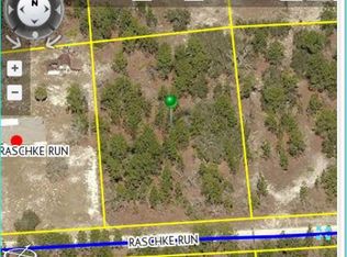 11467 Raschke Run, Weeki Wachee, FL 34614