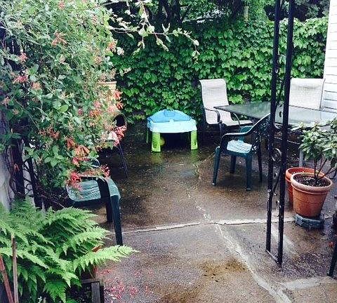 Private and Lush Courtyard