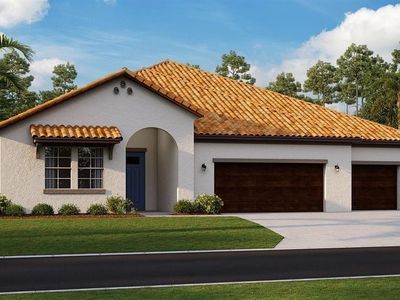 5361 Windy Grove Dr, Wimauma, FL, 33598