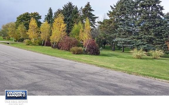 Trees Create Privacy!