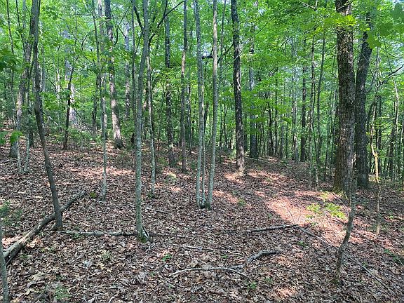 5th image of LOT 51 53 Squirrel Hunting Rd