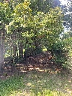 2nd image of 38 Lembitu Ave