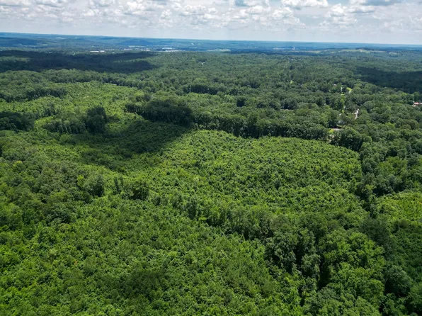 0 Regency Pl, Hamilton, AL 35570