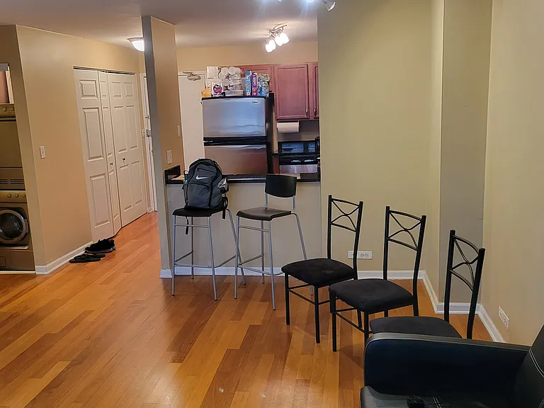 222 E Pearson St #1407 — Photo 4