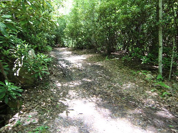 2nd image of 363 Doe Mountain Private Ln