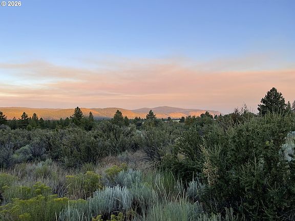 2nd image of David St #1