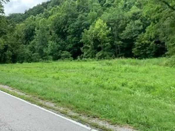 0 Wartrace Rd Lot 1, Whitleyville, TN 38588
