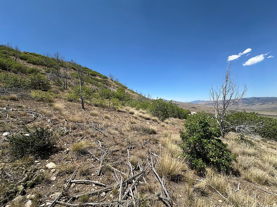 1st image of 17 Thundercloud Cir #C