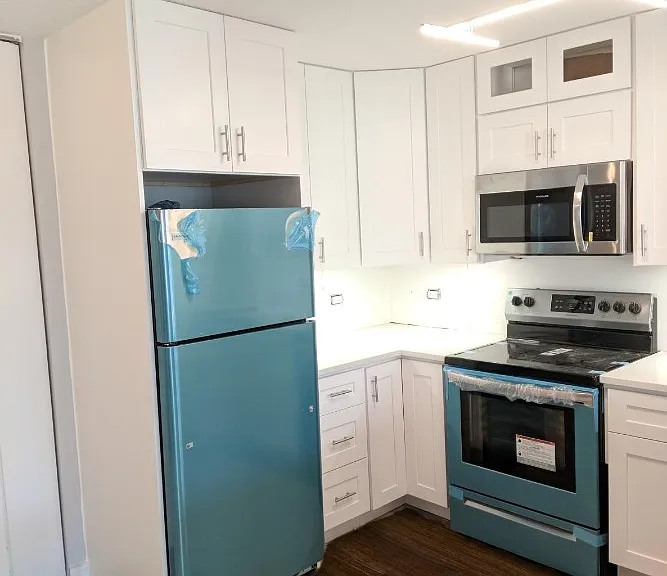 70 W Huron St #1201 — Photo 12