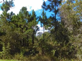 Water Rd, Clermont, FL 34714