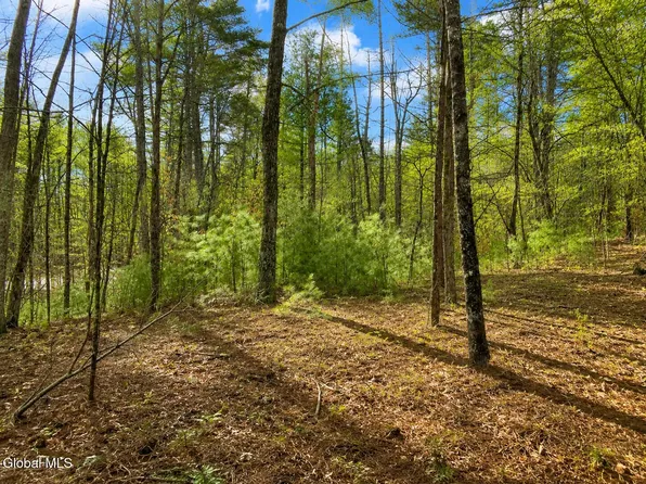 L94 Highview Lane Lot 10, Wevertown, NY 12886