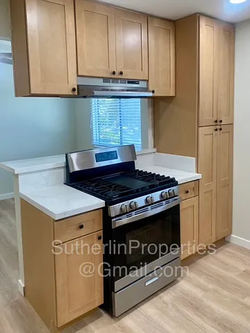 Kitchen view of 30 inch gas range with mechanical range hood.
