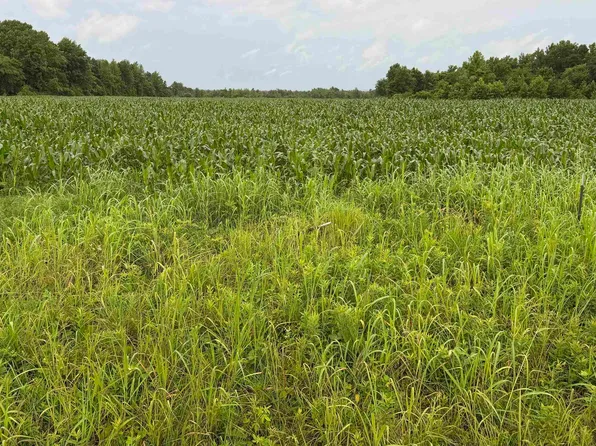 County Road 133, Town Creek, AL 35672