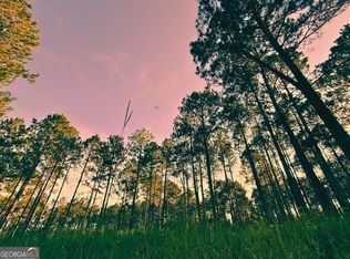 1172 Indigo Rd, Metter, GA 30439