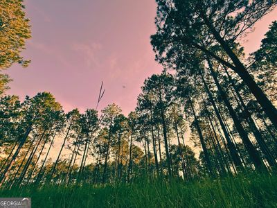 1172 Indigo Rd, Metter, GA, 30439