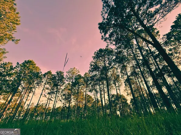 1172 Indigo Rd, Metter, GA 30439
