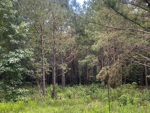 2nd image of 0 Main St