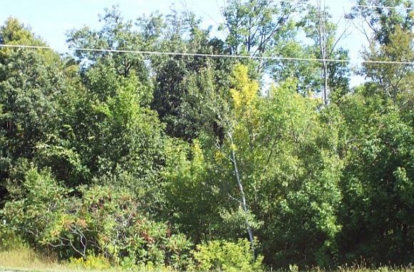 1st image of East 40 Hwy S