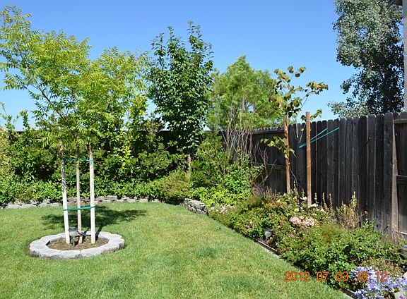 4th image of 2355 Galvin Way
