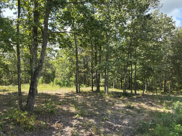 93 Wyatt Ln, Linden, TN 37096