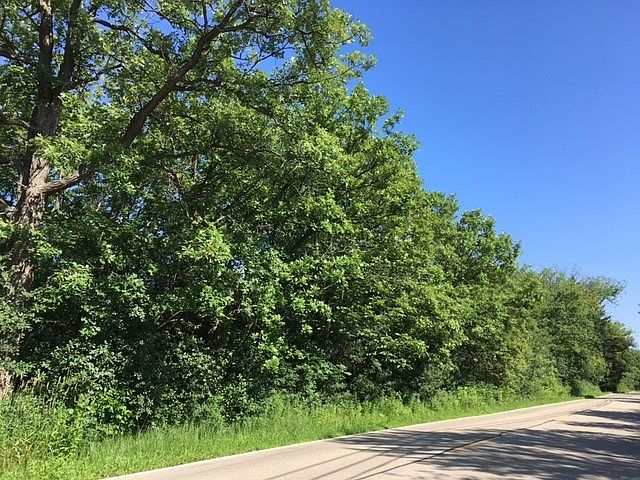 2nd image of 81 S Ridge Rd