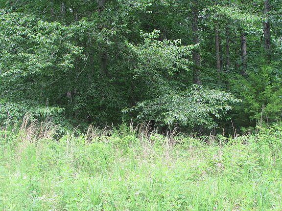 5th image of 1 Ed Sanders Rd