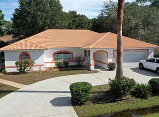 39 Princess Ruth Ln, Palm Coast, FL 32164
