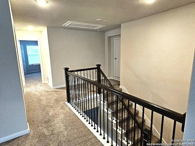 12549 Rothau Dr — Photo 13