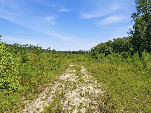 4th image of 3390 Hunter Rd Lot 2