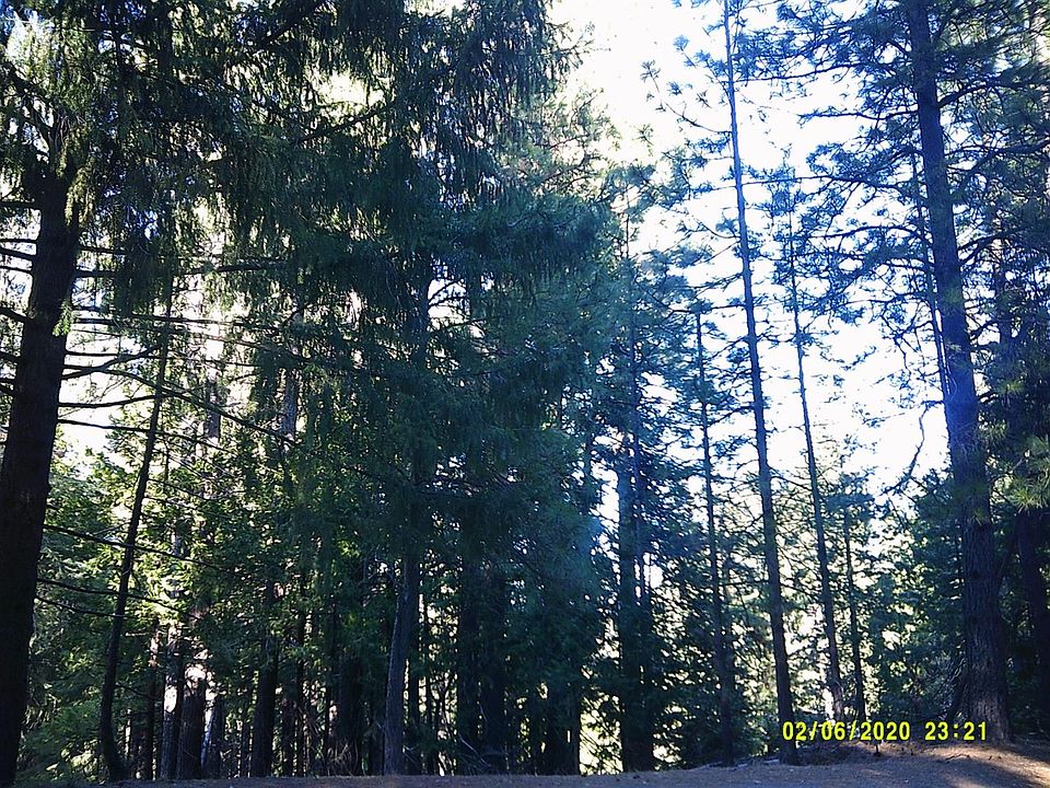 2nd image of 5381 Pine Ridge Dr