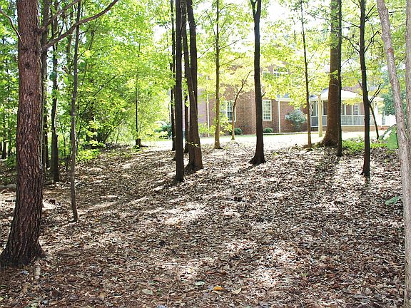 4th image of 8123 Buena Vista Dr