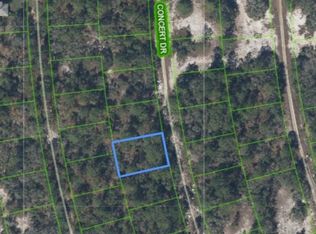382 Concert Dr, Lake Placid, FL 33852