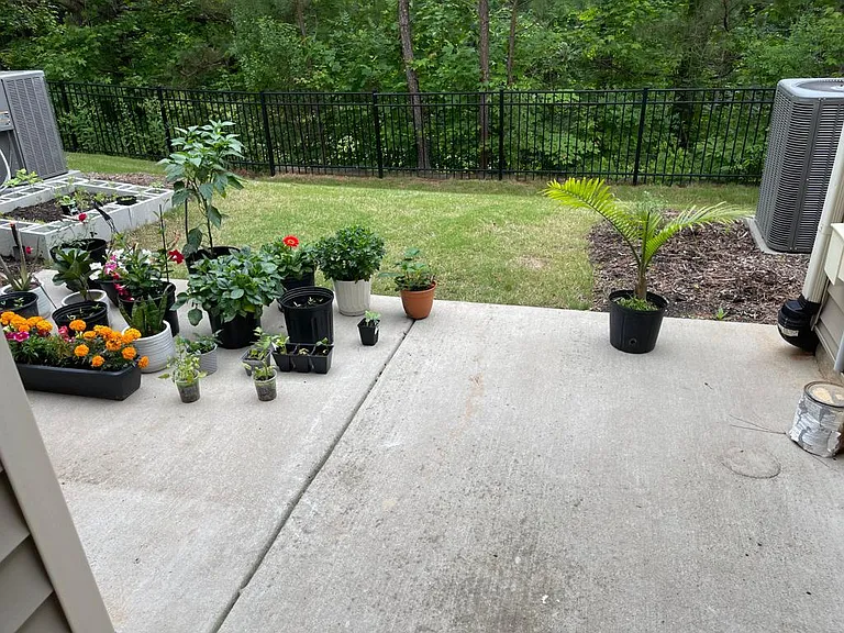 235 Cypress Hill Ln — Photo 21